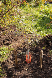 Similar image 21120991