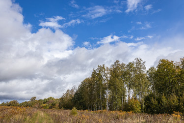 Similar image 21120992