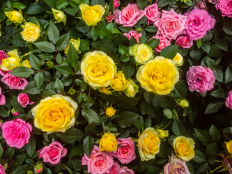 Similar image 21120993