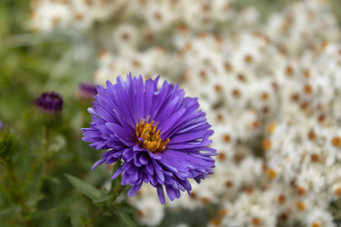 Similar image 21120995