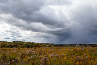 Similar image 21121000