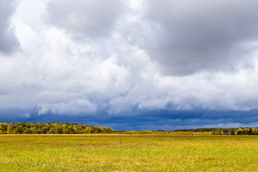 Similar image 21121003