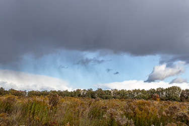 Similar image 21117289