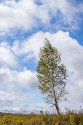 Similar image 21117290