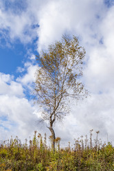 Similar image 21117292