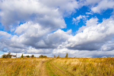 Similar image 21117293