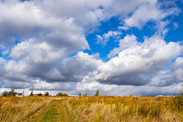 Similar image 21117294