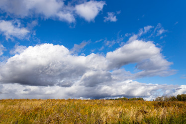 Similar image 21117295