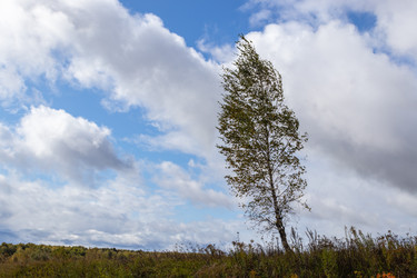 Similar image 21117296