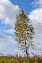 Similar image 21117299