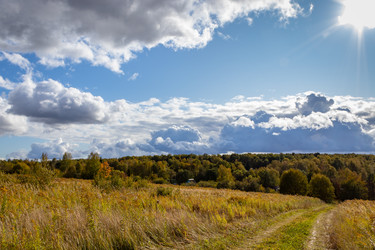 Similar image 21117300