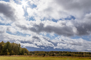 Similar image 21117301