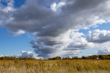 Similar image 21117302