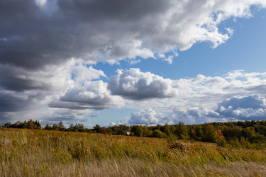 Similar image 21117303