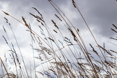 Similar image 21117305