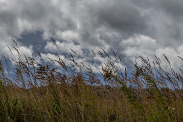 Similar image 21117307