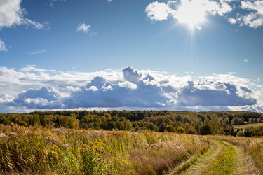 Similar image 21117308