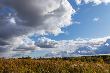 Similar image 21117309