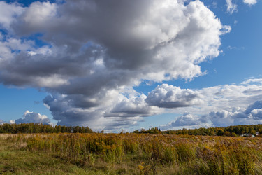 Similar image 21117312