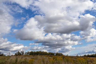 Similar image 21117315