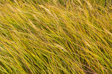 Similar image 21120217