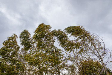 Similar image 21120219