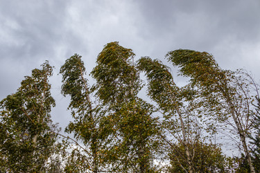 Similar image 21120220