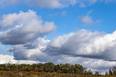 Similar image 21120221