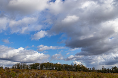 Similar image 21120222