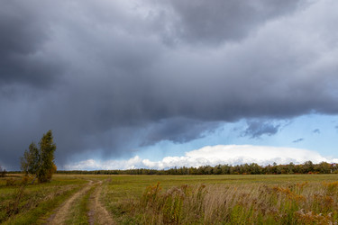 Similar image 21120223