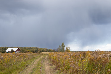 Similar image 21120224