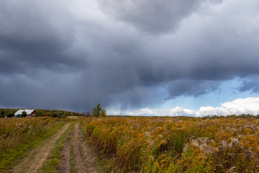 Similar image 21120225