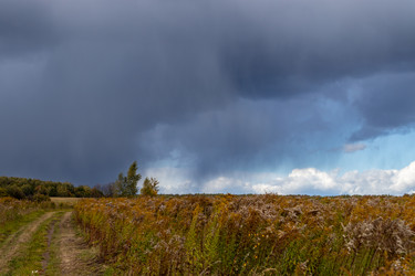 Similar image 21120228