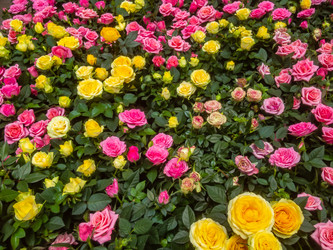 Similar image 21120230