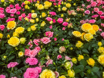 Similar image 21120231