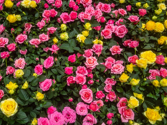 Similar image 21120233