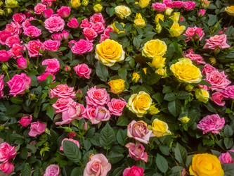 Similar image 21120234