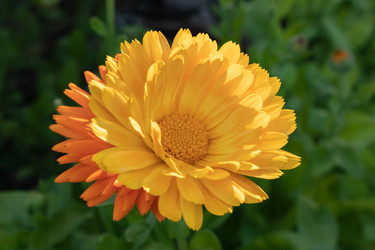 Similar image 21120582