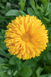 Similar image 21120583