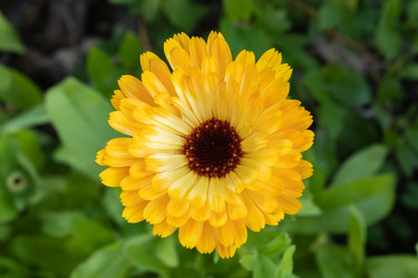 Similar image 21120584