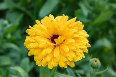 Similar image 21120585