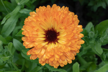 Similar image 21120586