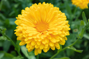 Similar image 21120587