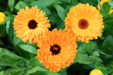 Similar image 21120588