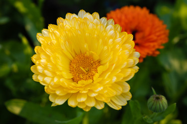 Similar image 21120589