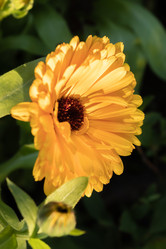 Similar image 21120590