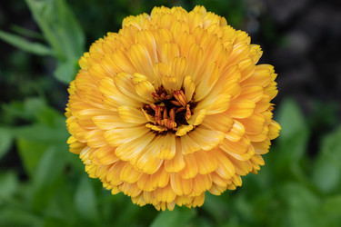 Similar image 21120592