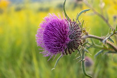 Similar image 21120593