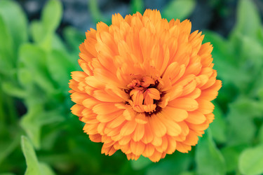 Similar image 21120594