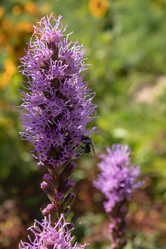 Similar image 21120693